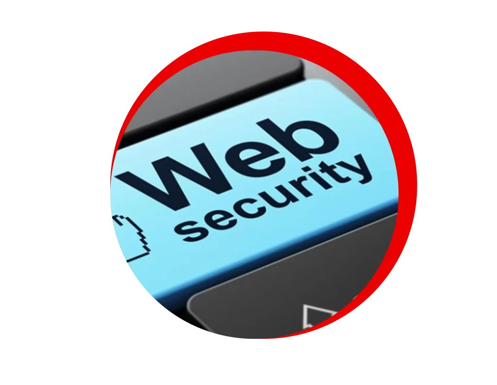 Website Security Services