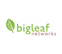 Big Leaf